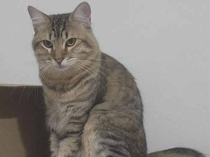 Foto de Yuno perdido em Salvador
