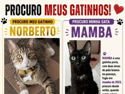 Foto de Norberto perdido em Itaitinga