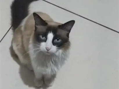 Foto de Amora perdido em Crato