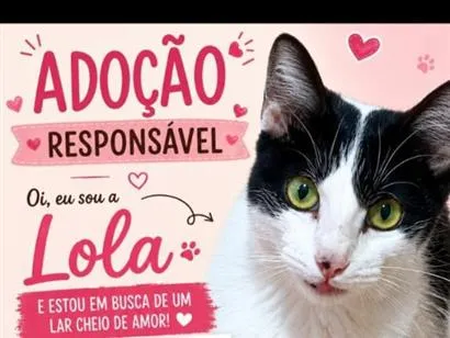 Foto de Lola para doação adocao em Goiânia