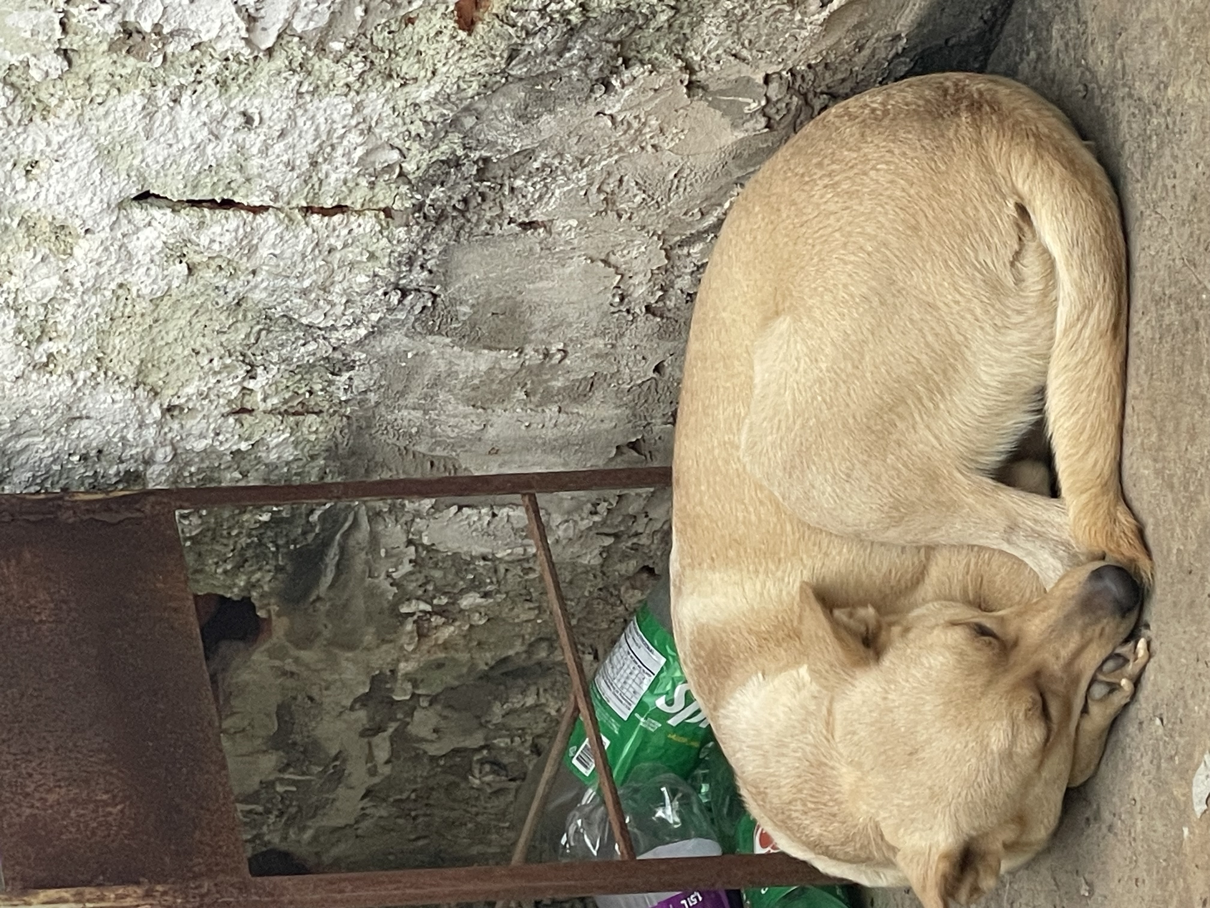 Foto de Princesa perdido em Formosa
