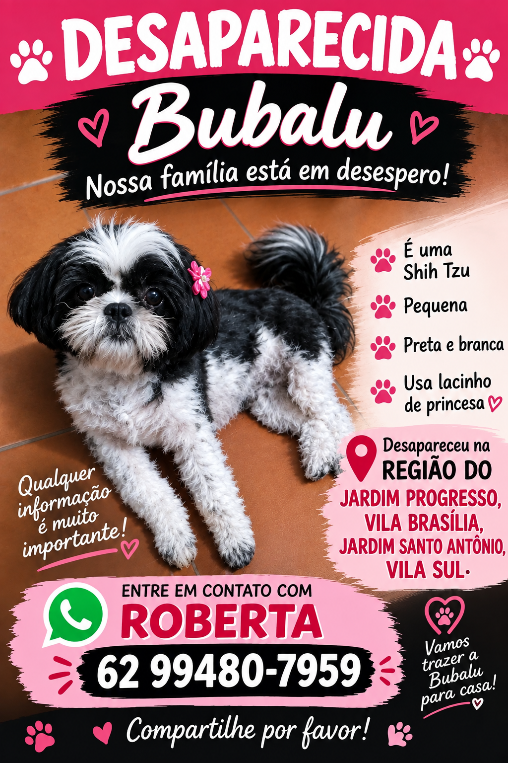 Foto de Babalu perdido em Aparecida de Goiânia