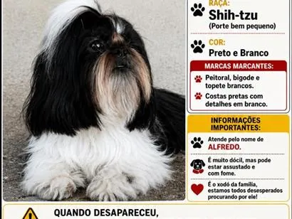 Foto de Alfredo perdido em Contagem