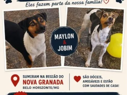Foto de Maylon e Jobim perdido em Belo Horizonte