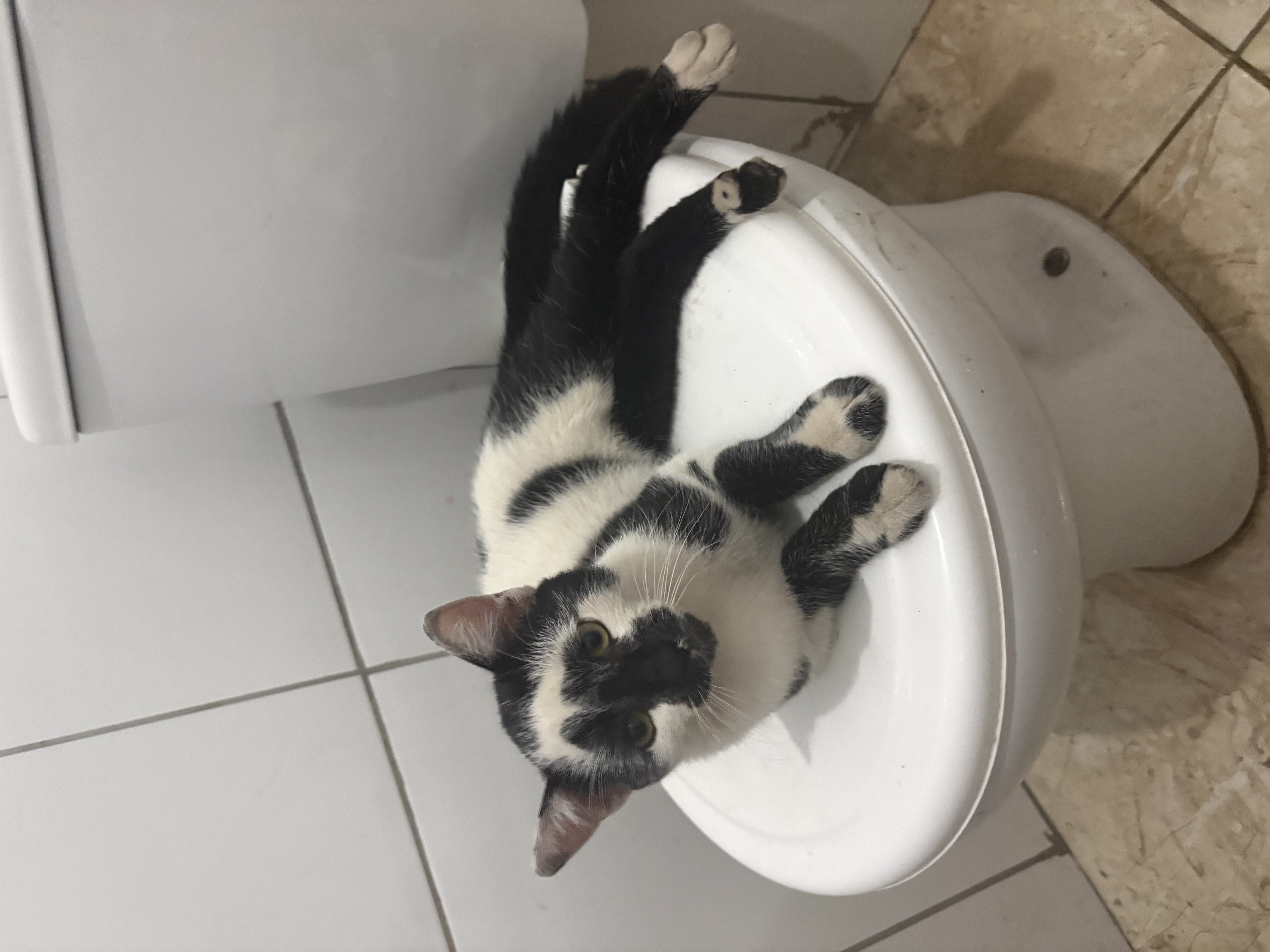 Foto de Tião perdido em Belo Horizonte