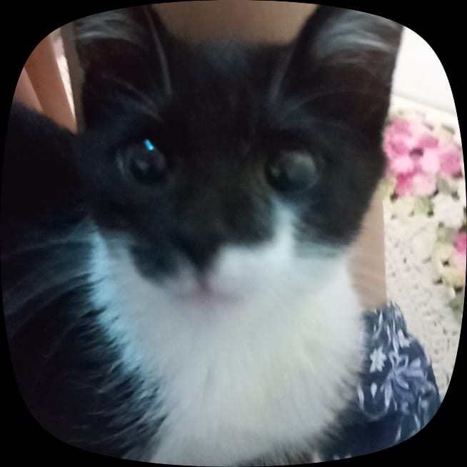 Foto de Clovis Benardino perdido em Campo Grande