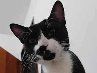 Foto de Cadu perdido em João Pessoa