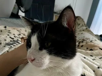 Foto de Snow perdido em Caruaru
