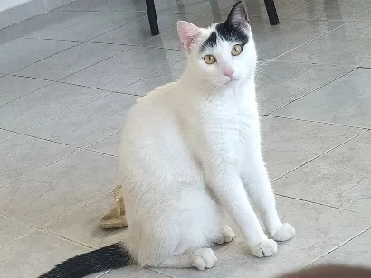 Foto de Nino perdido em Teresina