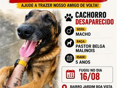 Foto de oreon perdido em Campo Magro
