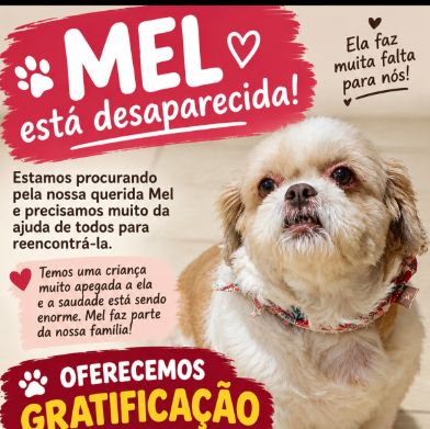 Foto de Mel perdido em Londrina