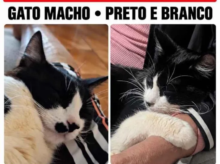 Foto de Bebê perdido em Maringá