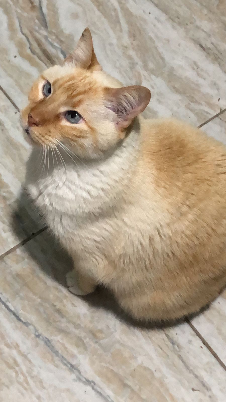Foto de fred perdido em Curitiba