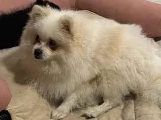 Foto de Brule perdido em Cachoeirinha