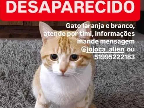 Foto de Mich perdido em São Leopoldo