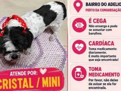 Foto de Cristal/Mini perdido em Porangaba