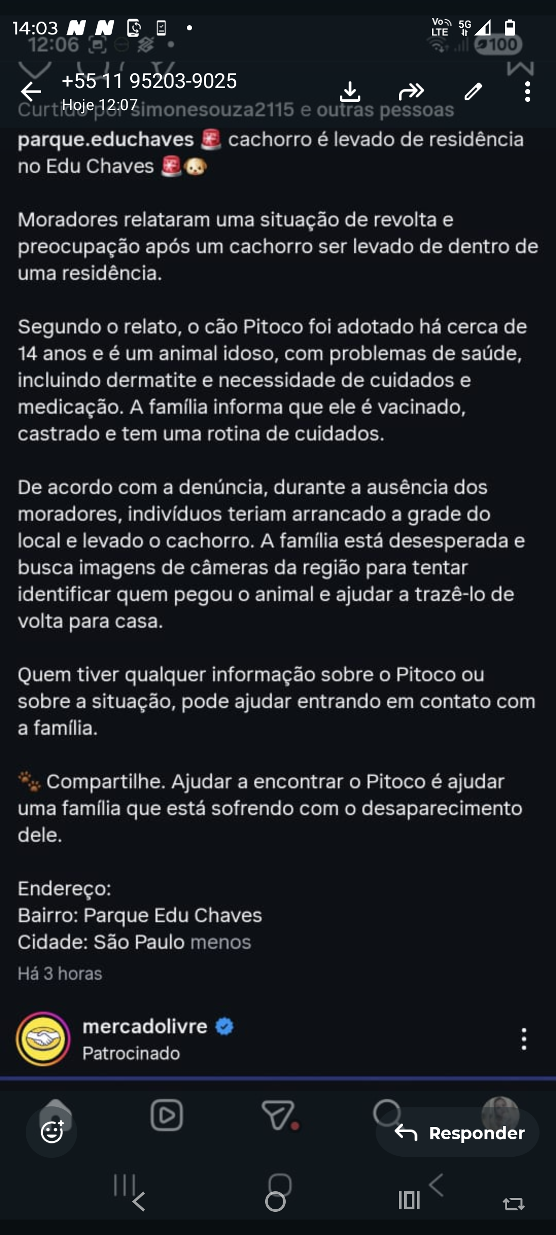 Foto de Pitoco perdido em São Paulo