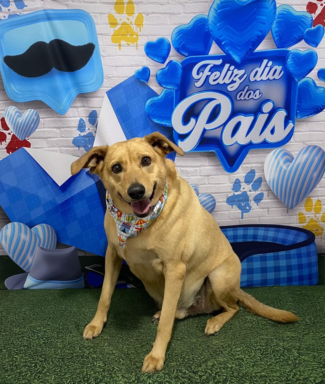 Foto de Vilma Ginevro perdido em São Paulo