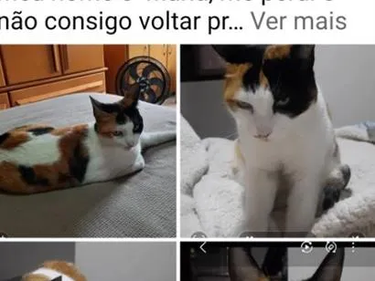 Foto de Maria perdido em São Paulo