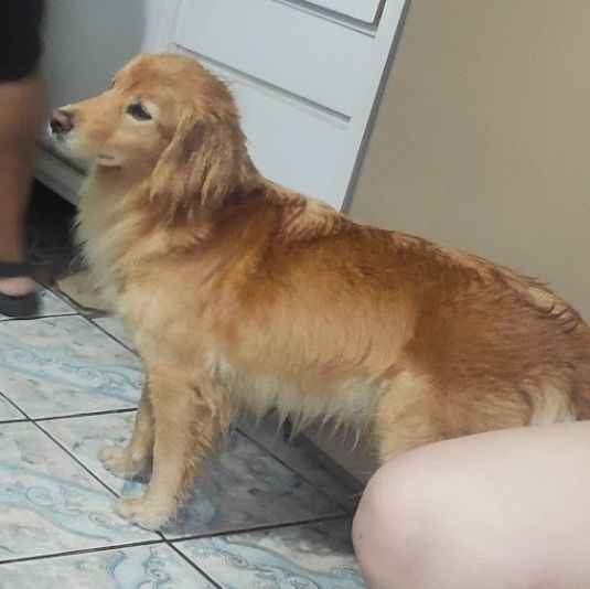 Foto de Angel perdido em Osasco