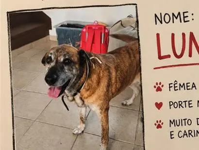 Foto de Luna perdido em São Vicente