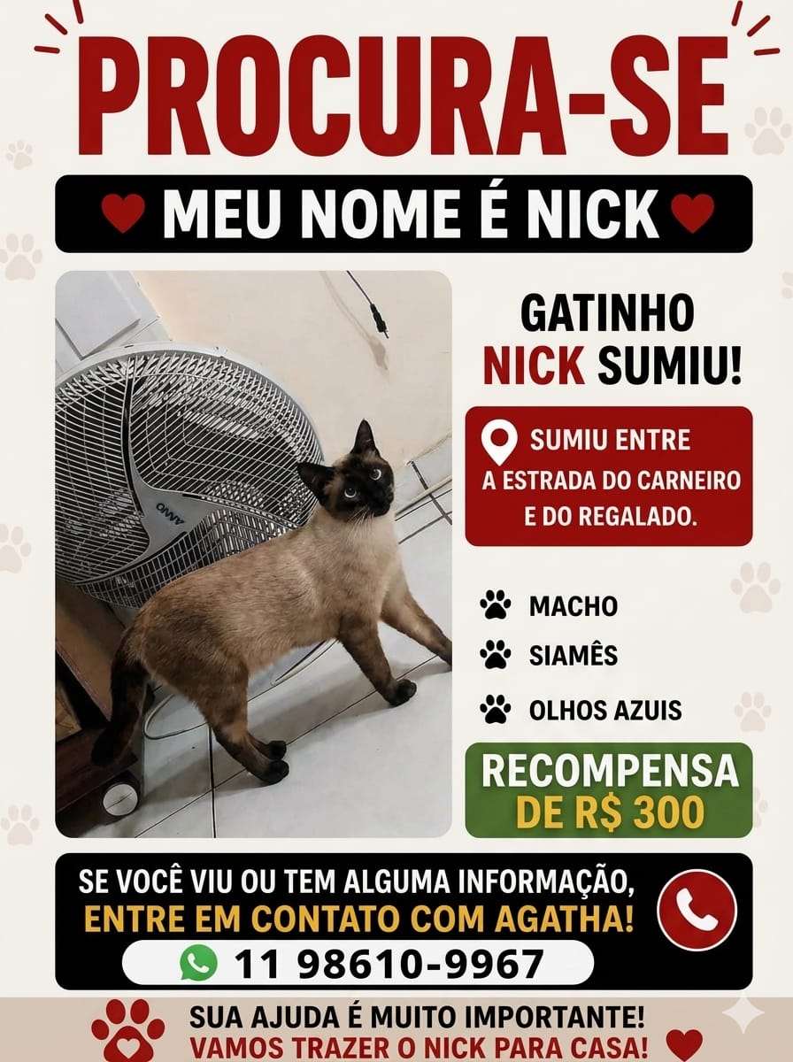 Foto de Nick perdido em Mauá