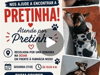 Foto de Pretinha perdido em Praia Grande