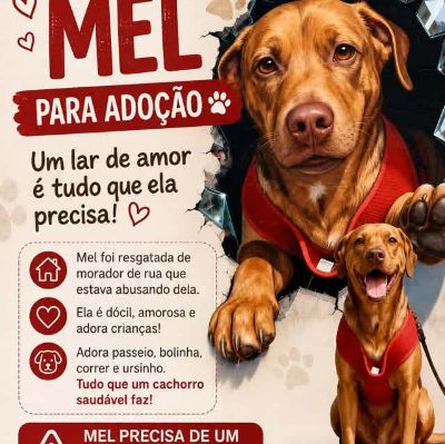 Foto de Mel adocao em São Paulo