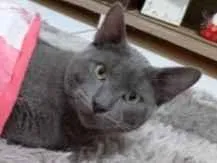 Foto de Garoa perdido em Guarulhos