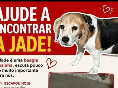 Foto de Jade perdido em Presidente Prudente