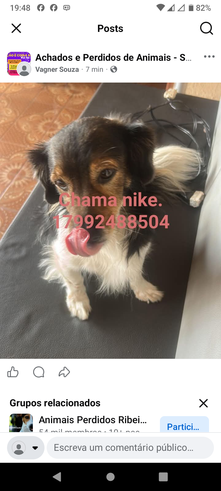 Foto de Nike perdido em São José do Rio Preto