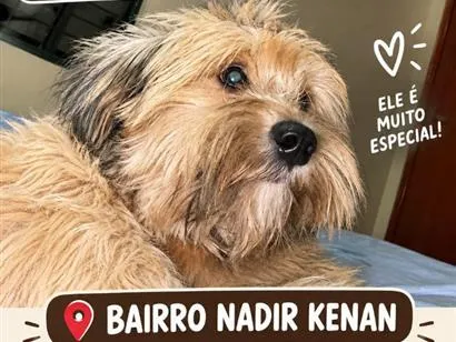 Foto de Flash perdido em Barretos