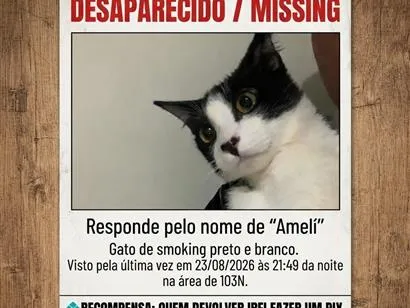 Foto de Ameli perdido em Palmas